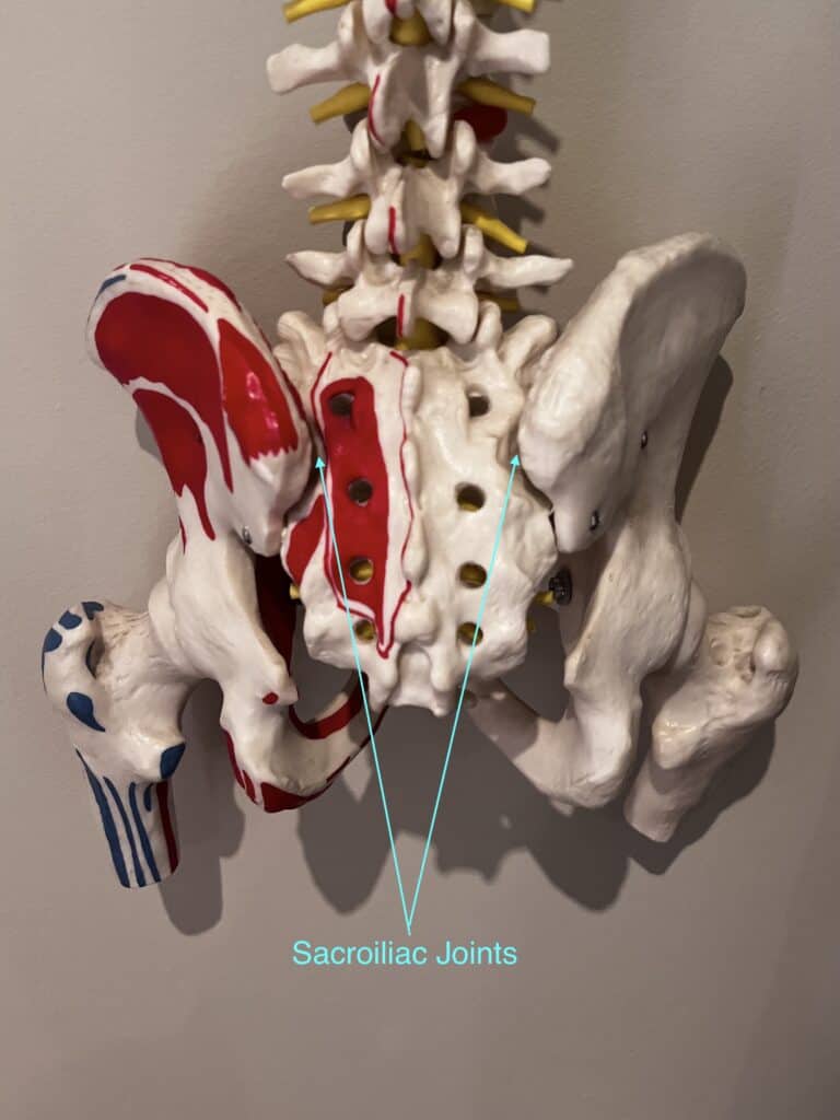 Sacroiliac joints