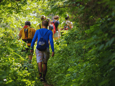 Walking for back pain group hike forest trail