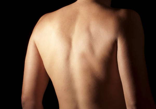 caucasian male torso viewed from behind