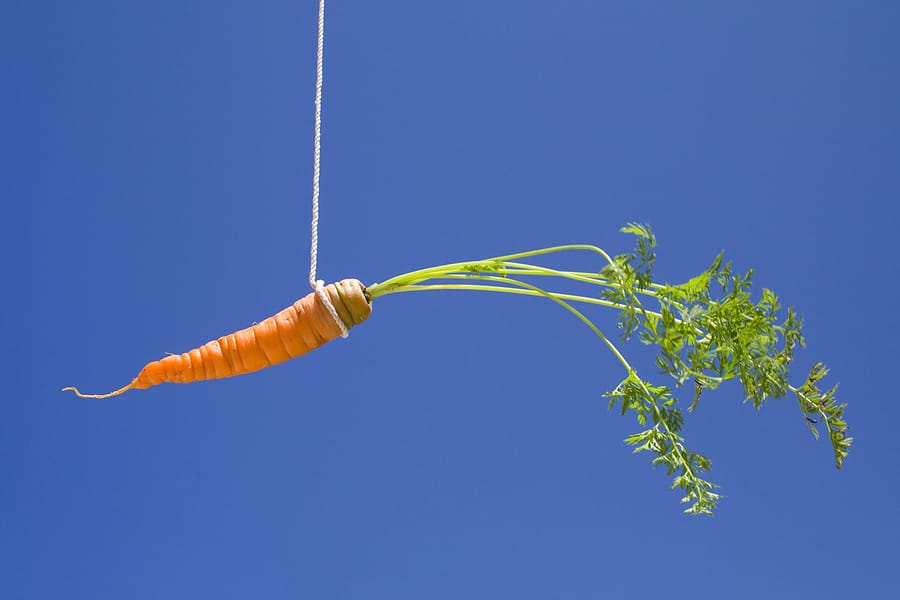 a carrot being dangled on a string against a blue backgroubd